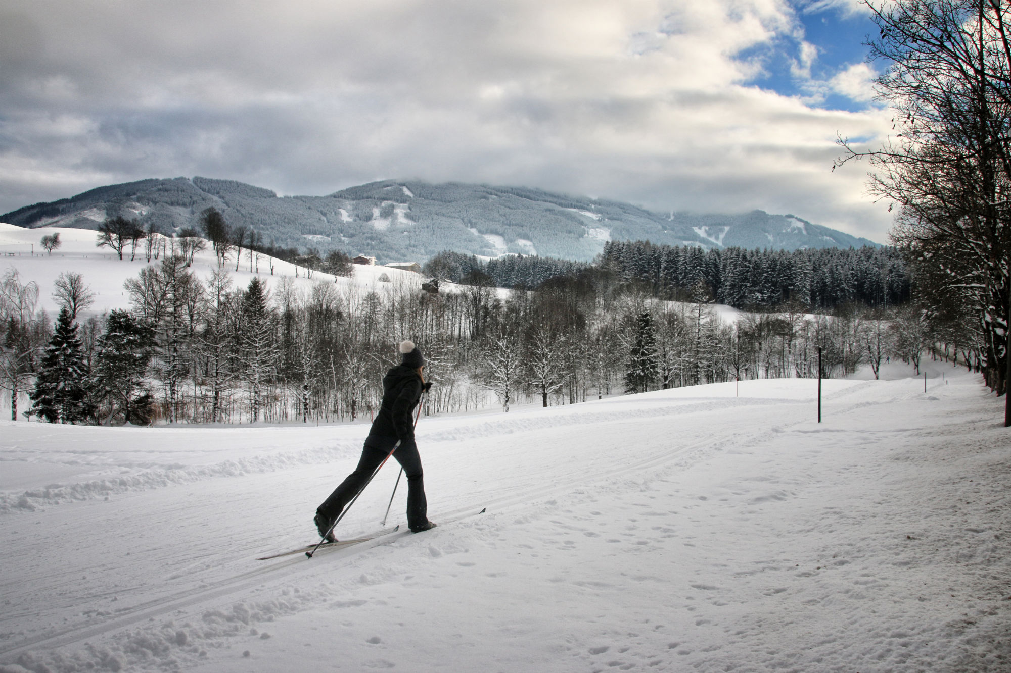 Crosscountry skiing & biathlon a selftest review